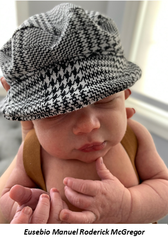 New Gregor